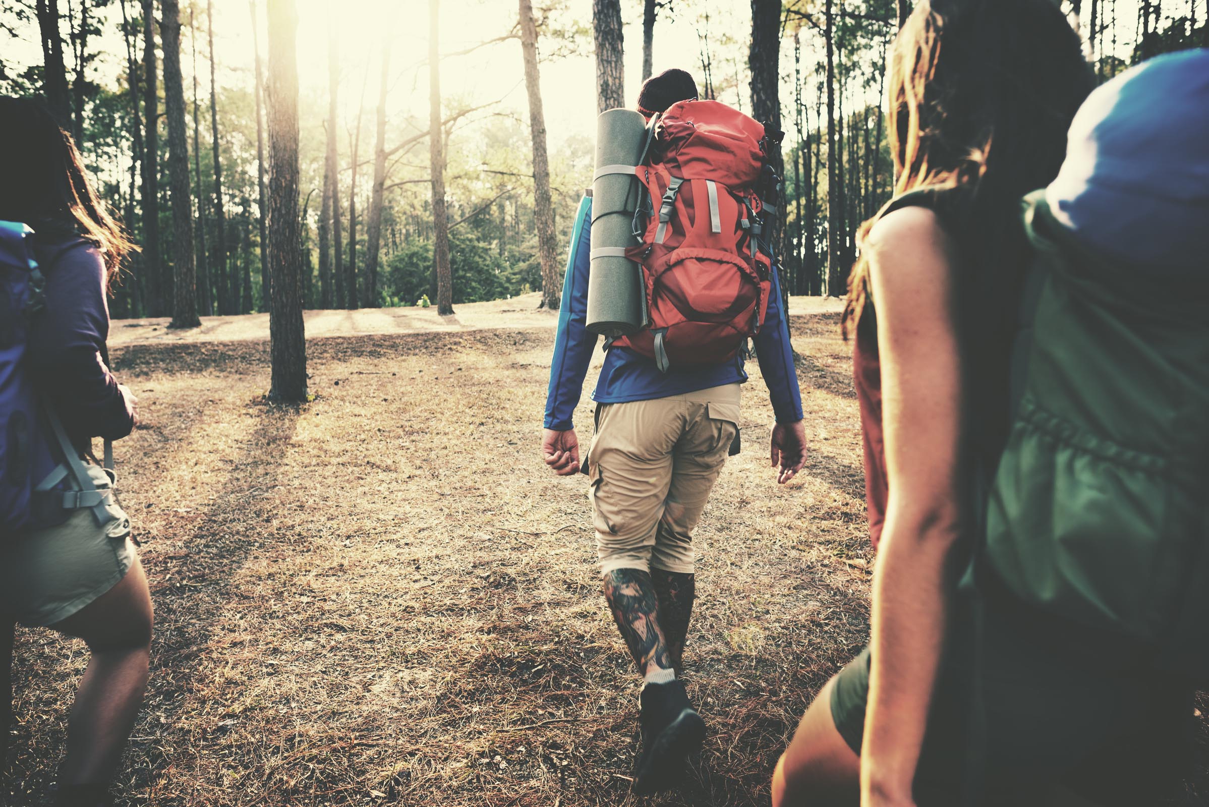 Hikers with backpacks on forest trail