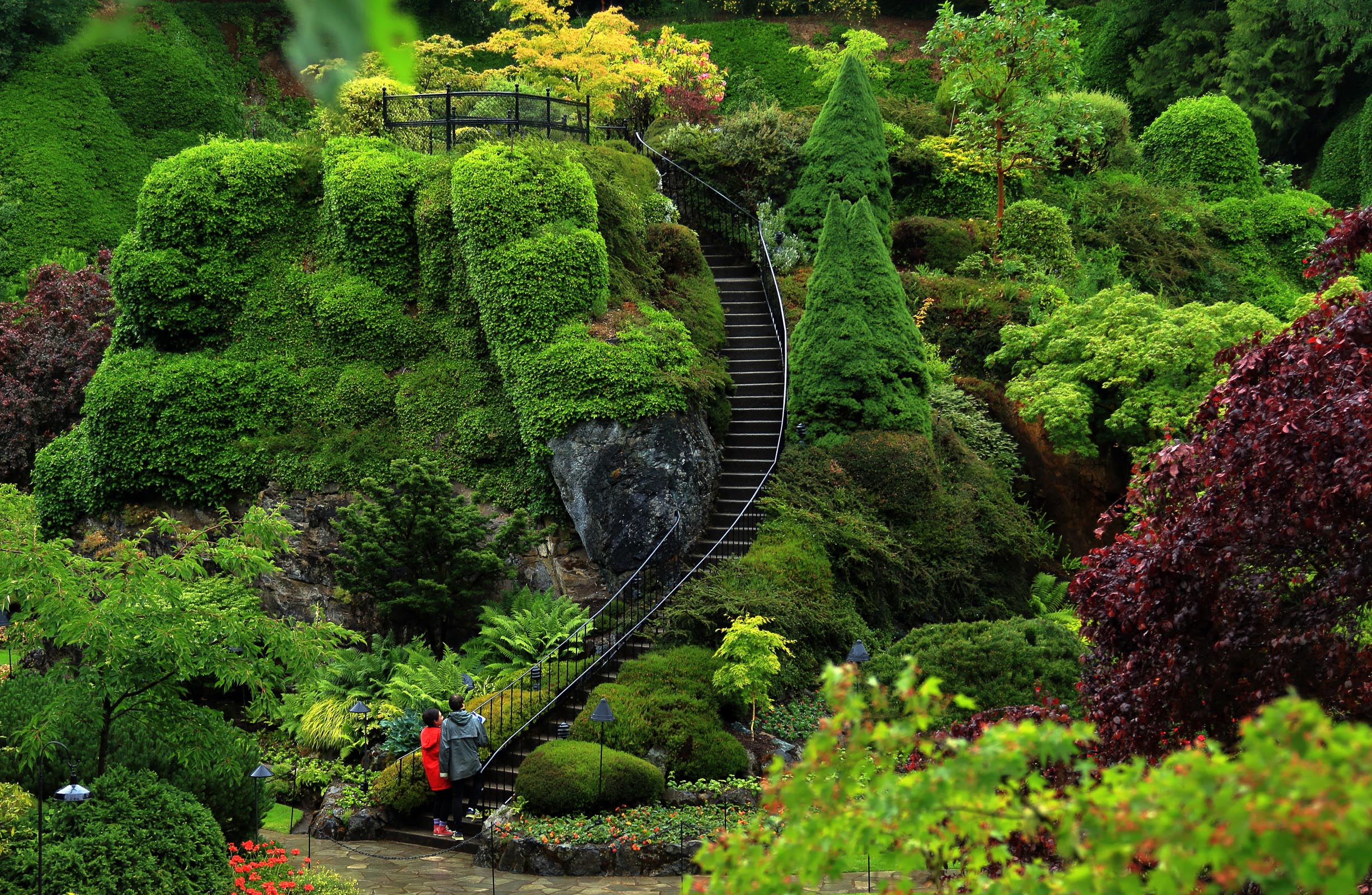 Trees and bushes in garden with black staircase
