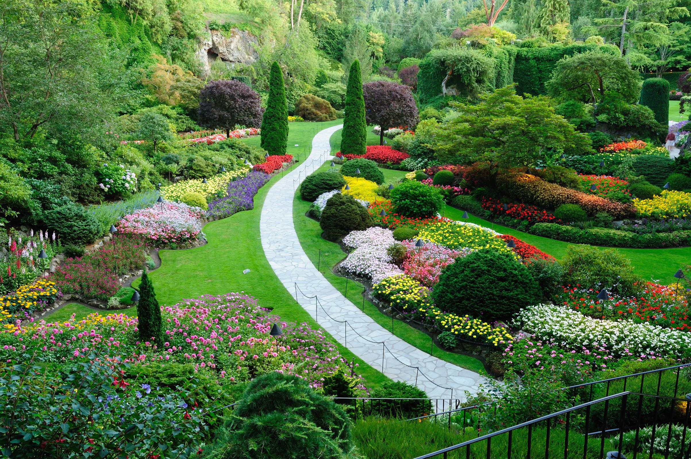 Path towards gardens with bushes and flowers